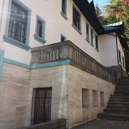 Hotel Tantzi Sinaia Exteriér fotografie