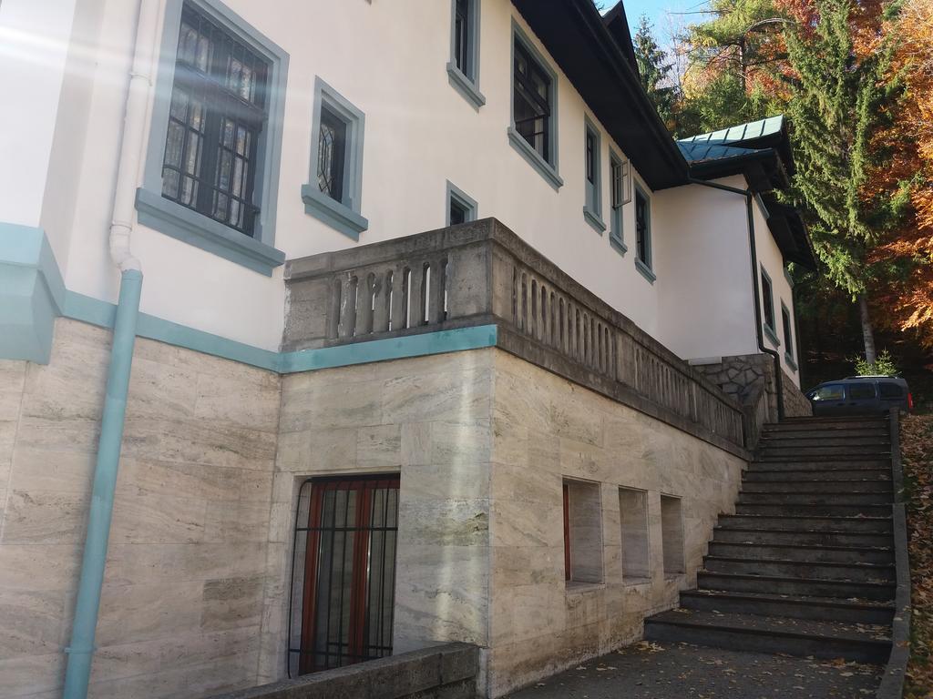 Hotel Tantzi Sinaia Exteriér fotografie