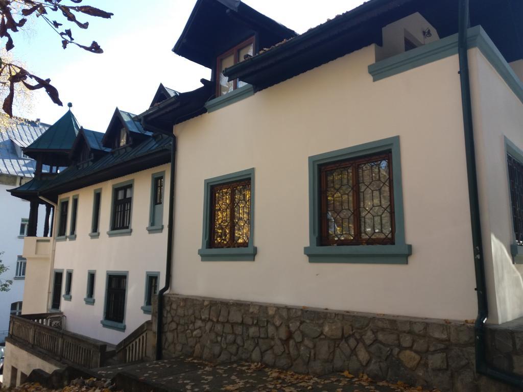 Hotel Tantzi Sinaia Exteriér fotografie